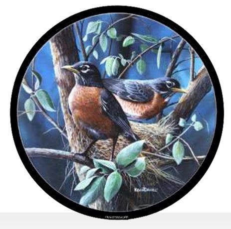 A round stained glass panel featuring a pair of nesting robins in a leafy setting, crafted by Kevin Daniel.